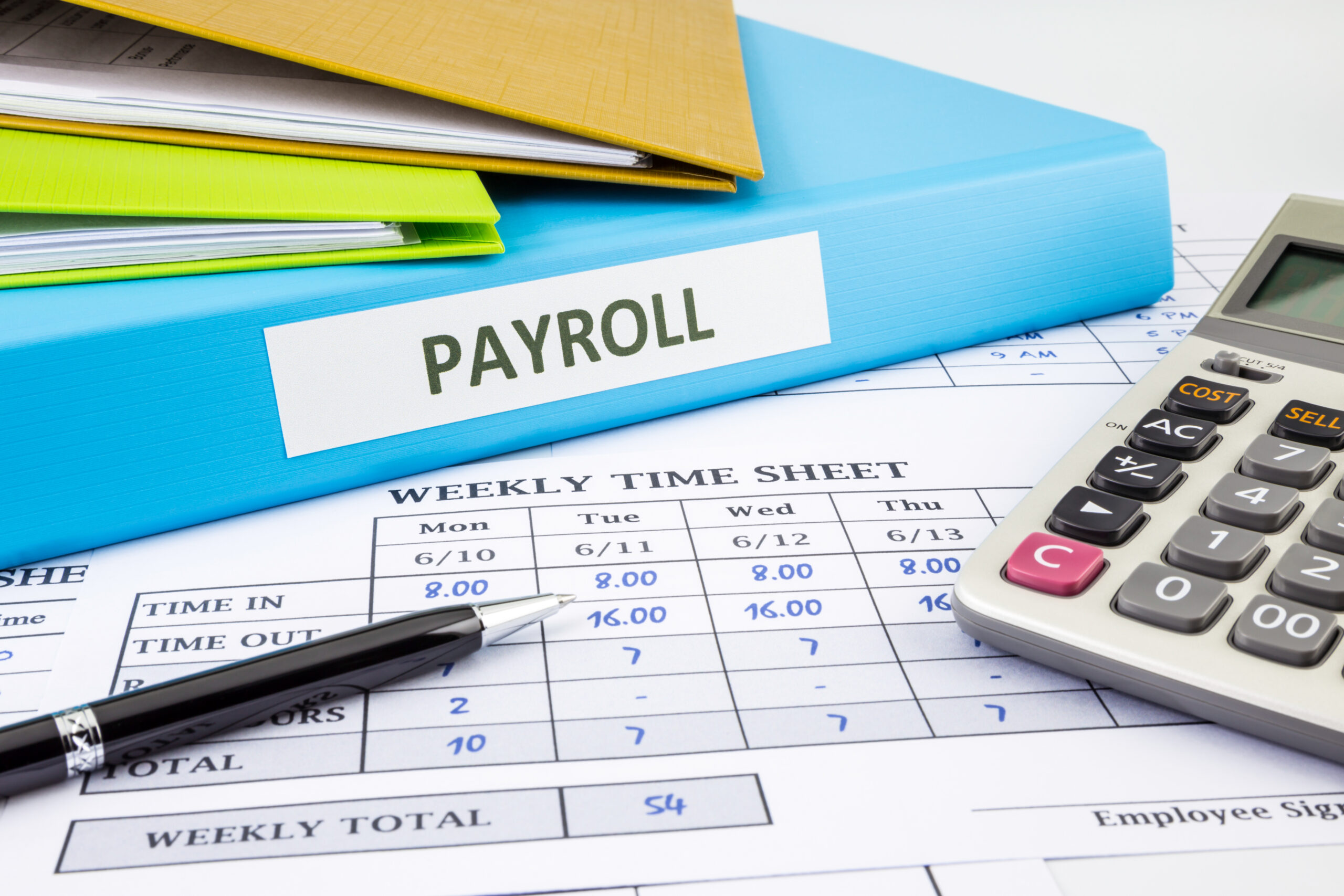 Payroll Data Image