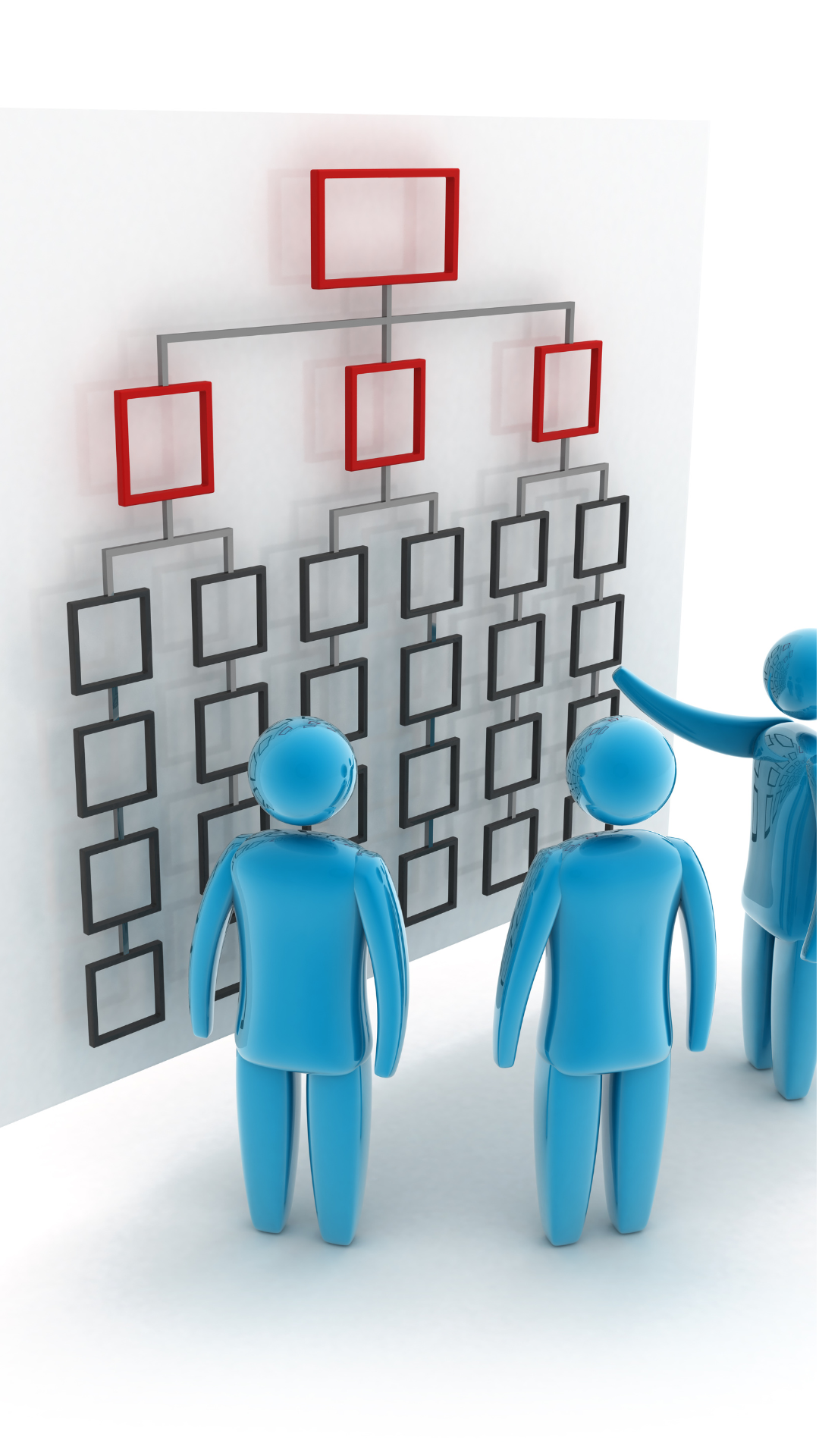 Sincron Organization Management Image Team reviewing an organizational hierarchy chart